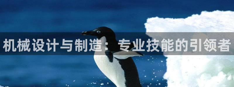 摩根娱乐宝注册