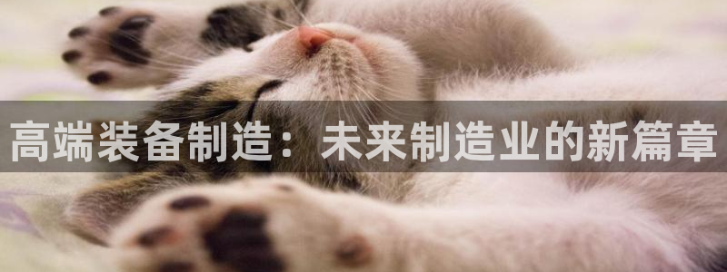 漳州摩根会娱乐