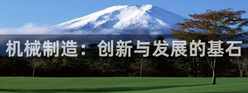 奥飞娱乐摩根调研