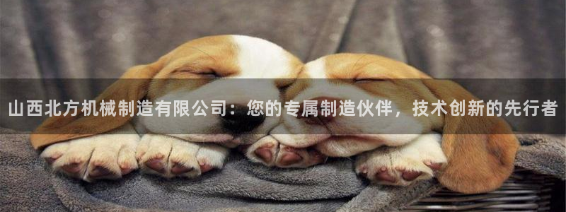 摩根娱乐50186叩杨