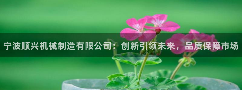 摩根娱乐垫付任务靠谱吗