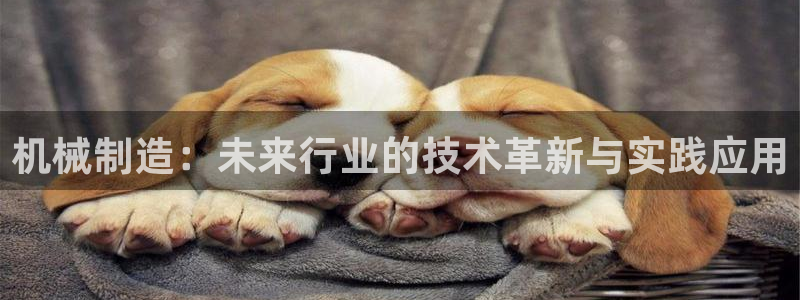 摩根娱乐怎么样