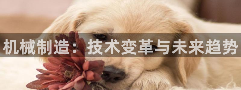 摩根合约娱乐宝