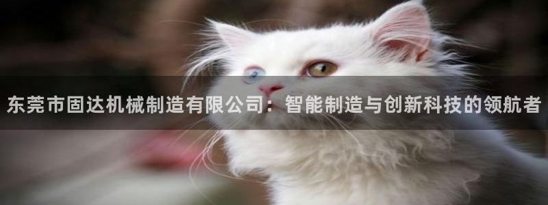 摩根 娱乐宝诈骗