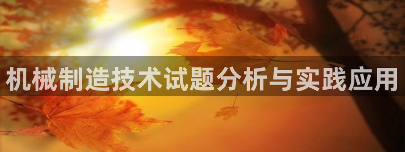 摩根中央公园娱乐