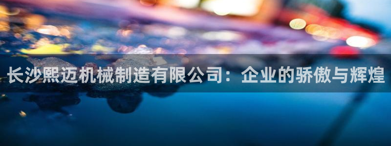 奥飞娱乐摩根调研