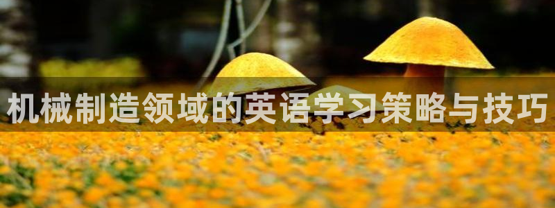摩根娱乐宝怎么玩