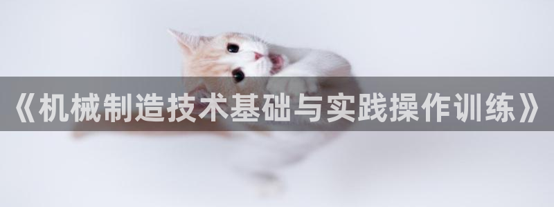 长沙摩根娱乐