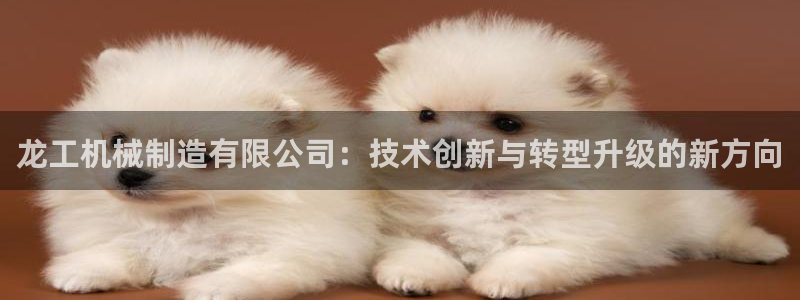 摩根娱乐部