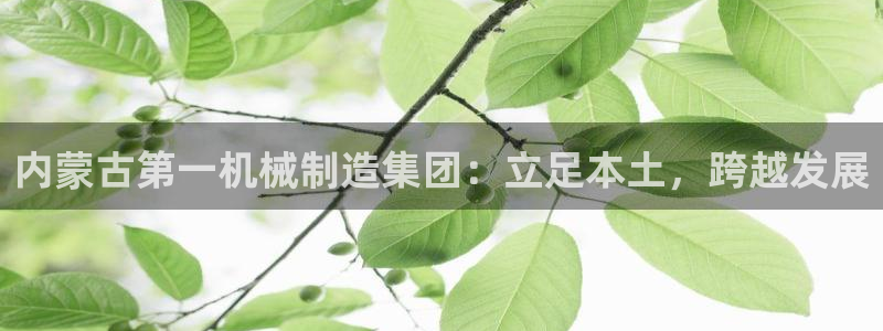 摩根娱乐是真的呀
