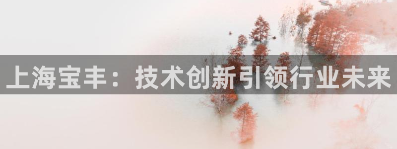 摩根娱乐宝创始人