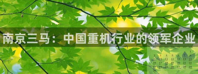 摩根国际亚太娱乐宝