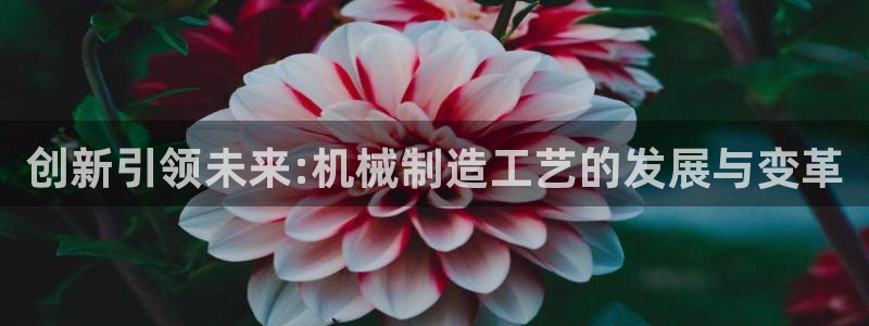 摩根娱乐彩票被骗了