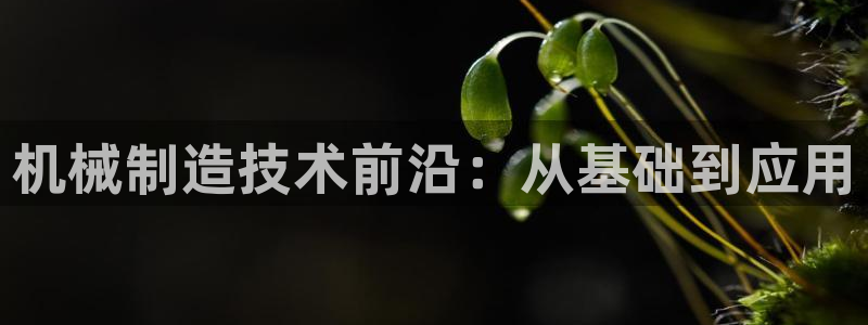 摩根 娱乐宝骗了我