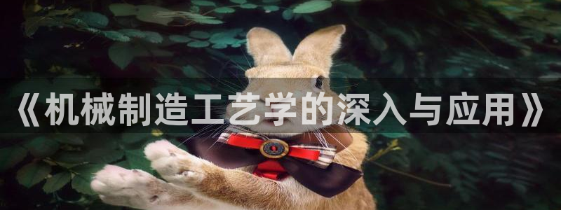 摩根国际娱乐宝