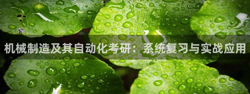 摩根国际娱乐宝