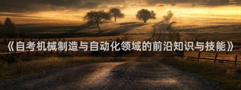 摩根大通王者娱乐