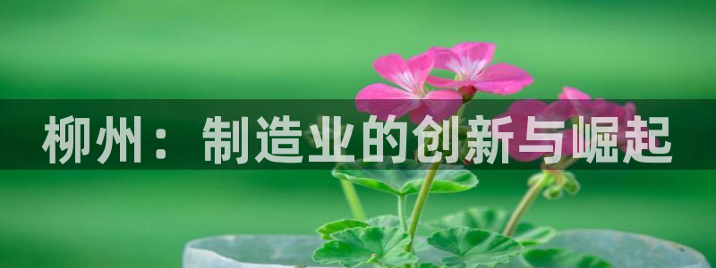 摩根娱乐宝是合法吗