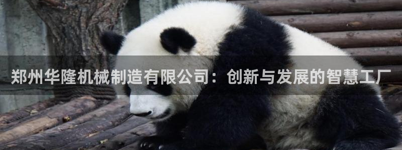 摩根娱乐宝是什么游戏