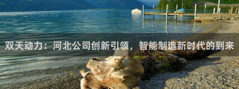 摩根大通王者娱乐