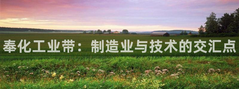 摩根娱乐宝怎么盈利