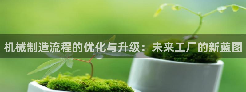 摩根娱乐50186夂