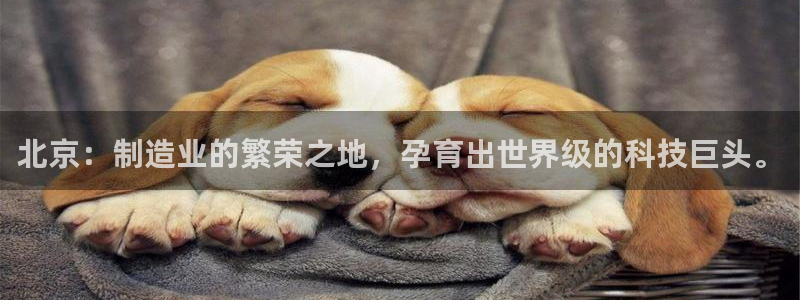 摩根娱乐宝创始人