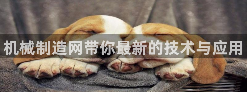摩根娱乐 1老j板50820
