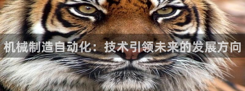 摩根100娱乐会所