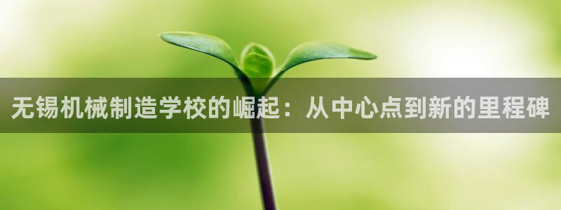 摩根娱乐宝怎么提现