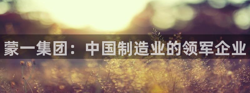 摩根大通黄金娱乐