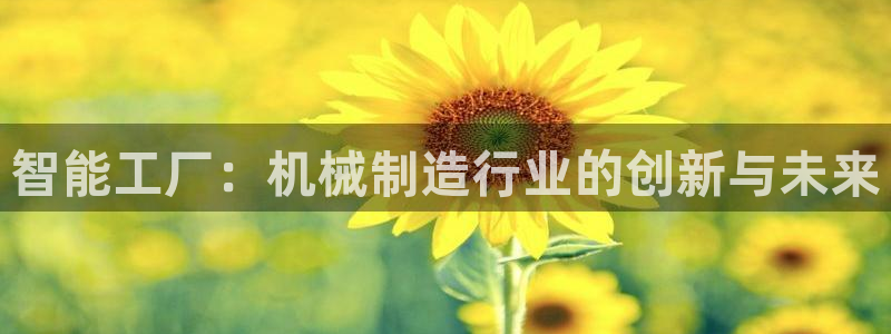 摩根克里克娱乐公司