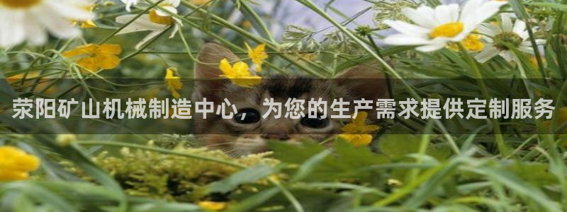 摩根娱乐是什么模式