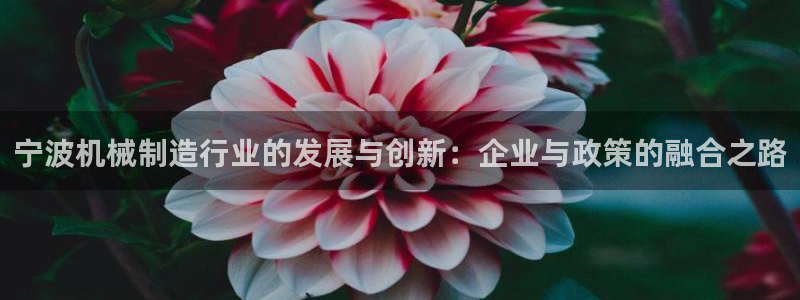 摩根娱乐宝如何提现