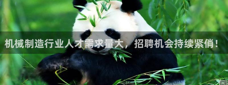 微信里面摩根娱乐宝