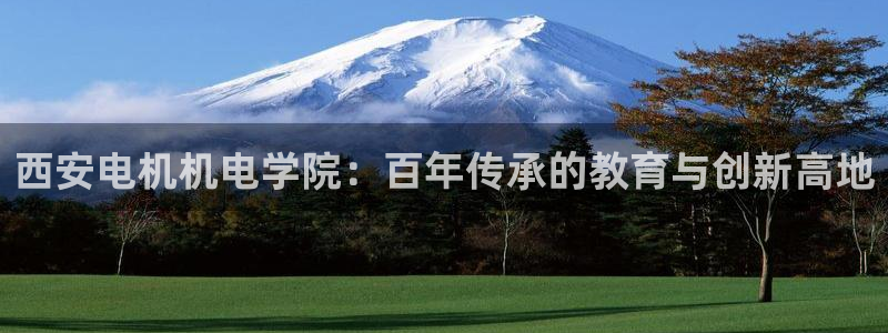 摩根娱乐50186叩