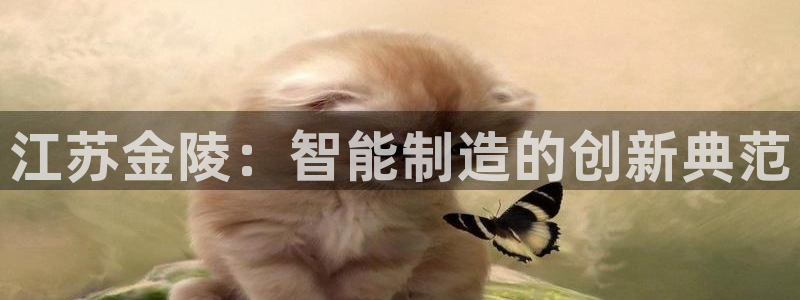 摩根娱乐登录网址