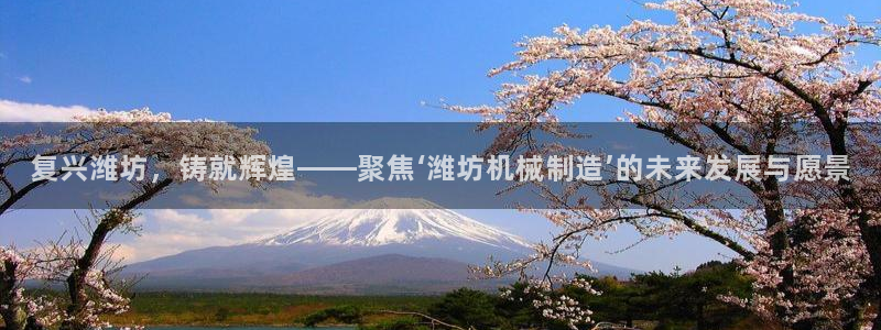 摩根合约娱乐宝