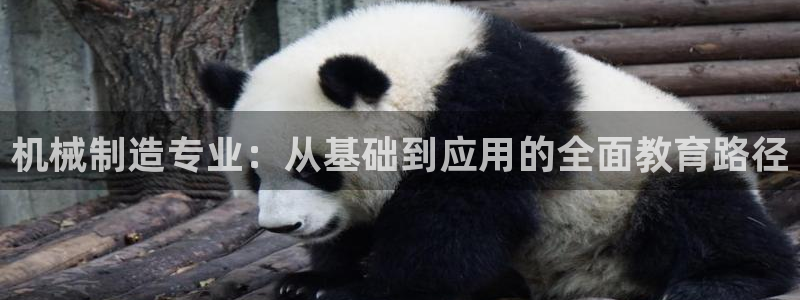 摩根娱乐平台云挂机安全吗