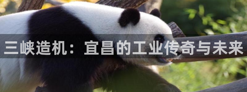 摩根娱乐50186叩