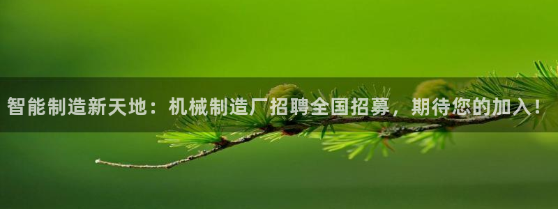 摩根娱乐宝机构代码