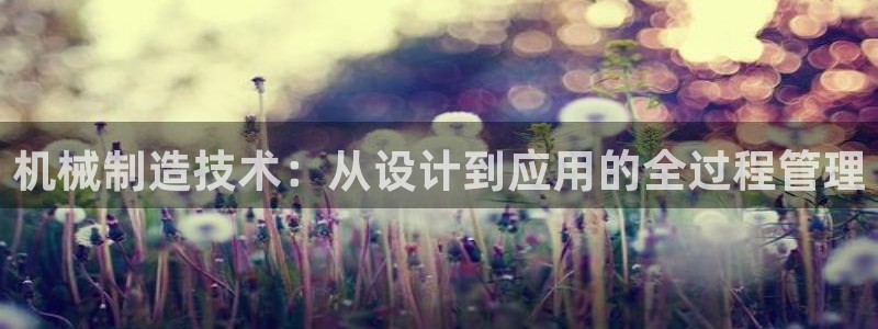 重生娱乐美日混血摩根