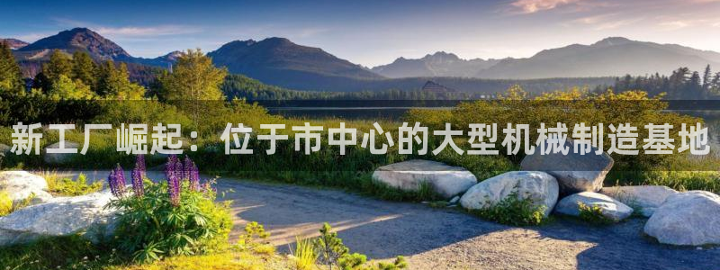 摩根娱乐宝是什么意思