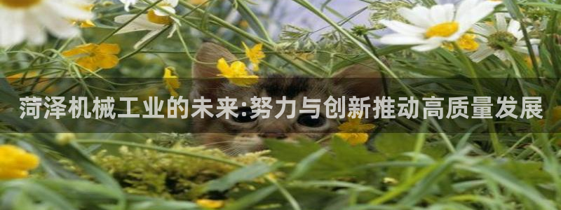 摩根娱乐50186联系