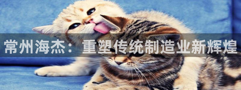 摩根娱乐宝软件下载