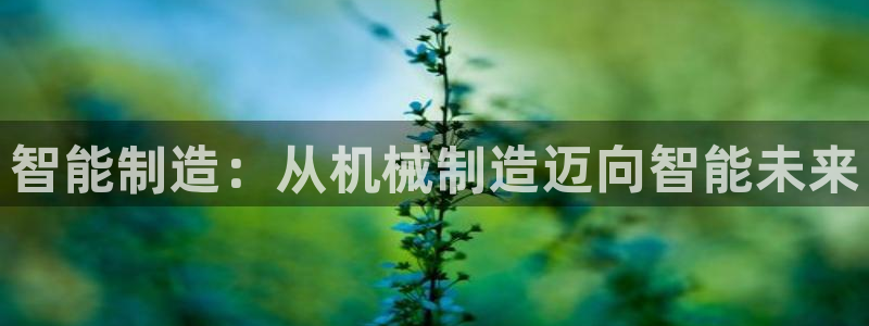 摩根娱乐宝骗了我