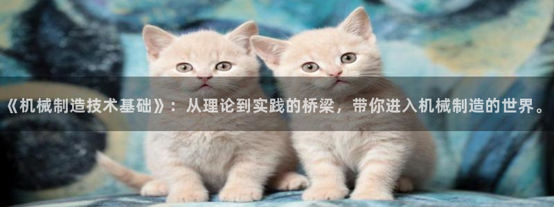 摩根娱乐平台
