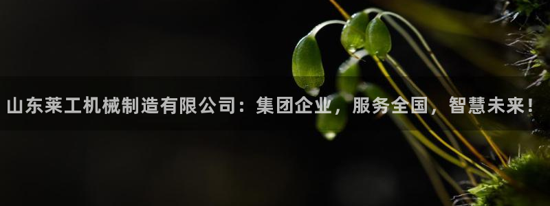 首页摩根娱乐平台