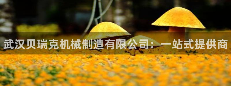摩根娱乐宝可靠吗