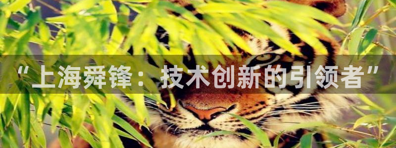 摩根娱乐彩票被骗了